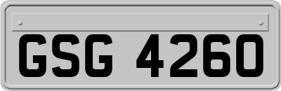 GSG4260