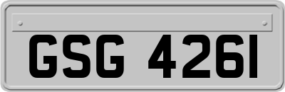 GSG4261
