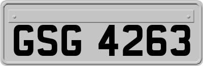 GSG4263