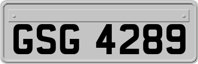 GSG4289
