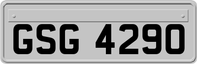 GSG4290