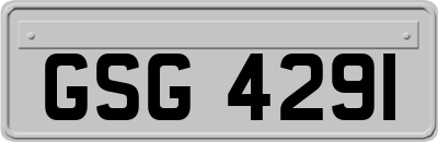 GSG4291
