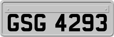 GSG4293