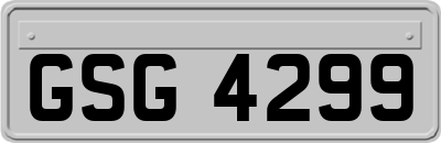 GSG4299