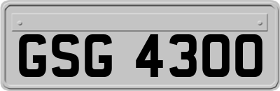 GSG4300