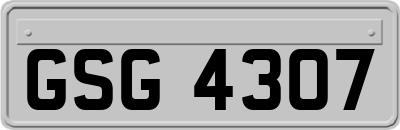 GSG4307