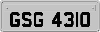 GSG4310