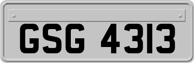 GSG4313