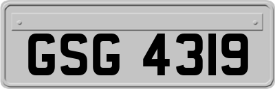 GSG4319