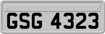 GSG4323
