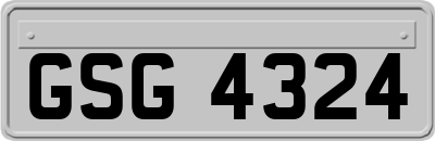 GSG4324