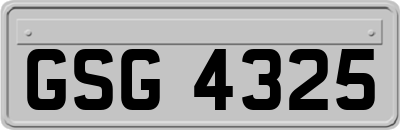 GSG4325