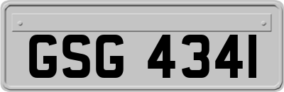 GSG4341