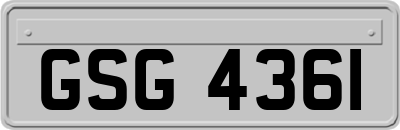 GSG4361