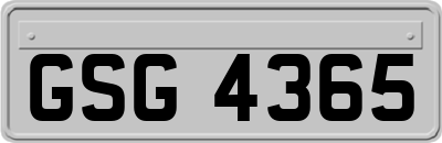 GSG4365
