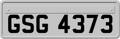 GSG4373
