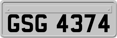 GSG4374
