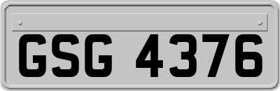 GSG4376