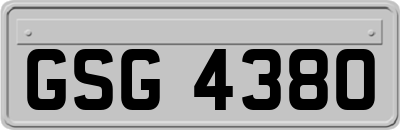 GSG4380