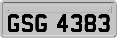 GSG4383