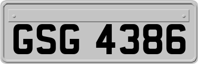 GSG4386