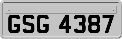 GSG4387