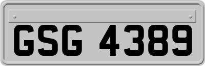 GSG4389