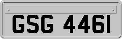 GSG4461
