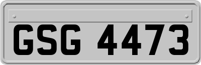 GSG4473