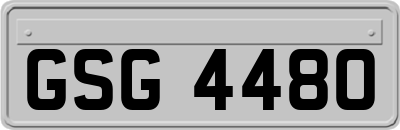 GSG4480