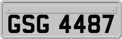 GSG4487