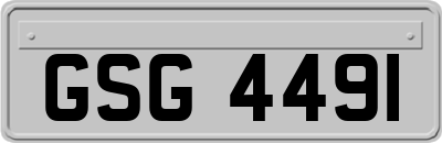 GSG4491