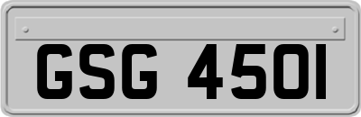 GSG4501