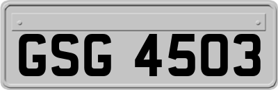 GSG4503