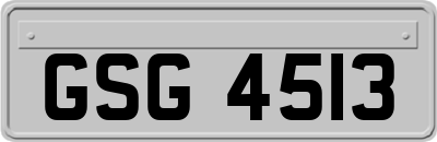 GSG4513