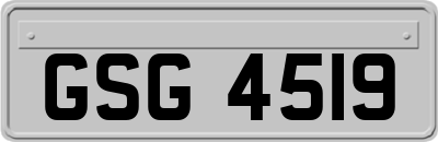 GSG4519