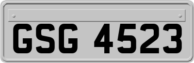 GSG4523