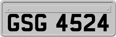 GSG4524