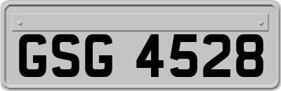 GSG4528