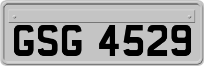 GSG4529