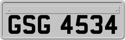 GSG4534