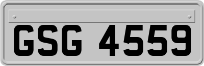 GSG4559