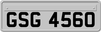 GSG4560