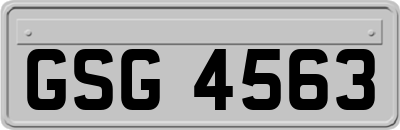 GSG4563