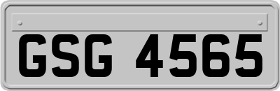 GSG4565