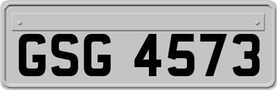 GSG4573