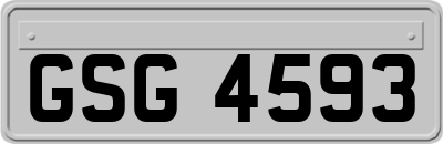 GSG4593