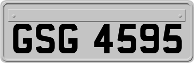 GSG4595