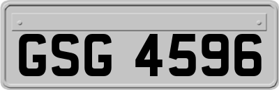 GSG4596