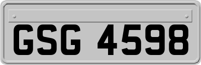 GSG4598